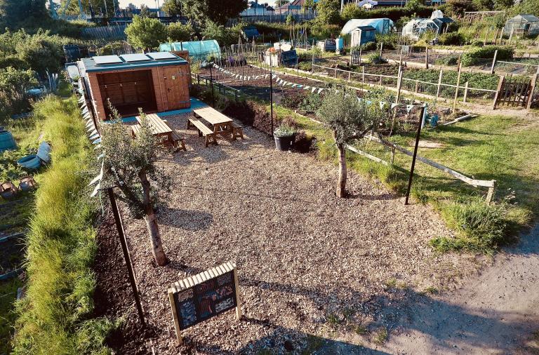 image of an allotment site with communal area including shed with solar panels and picnic tables