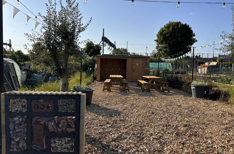 New communal seating area and eco toilet at Twyford allotments