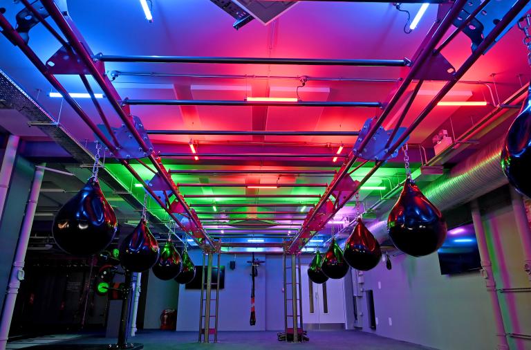 BXGFit interior