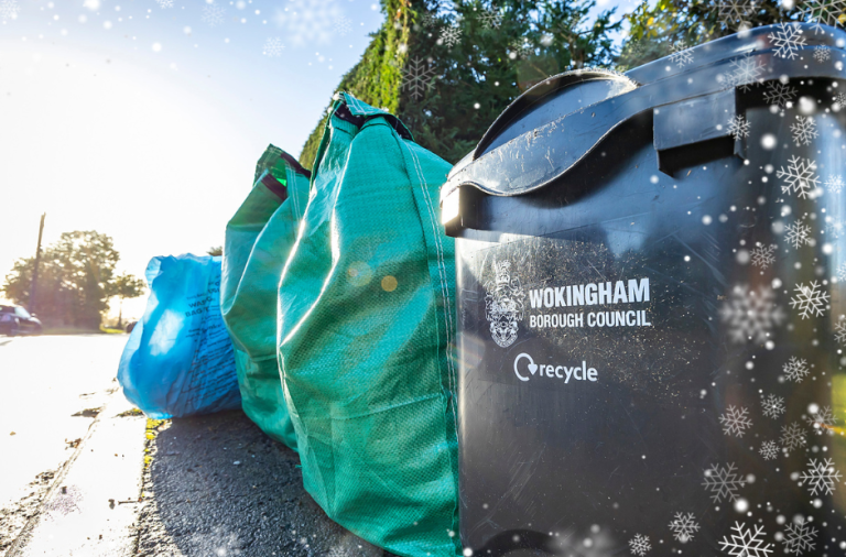 A food waste bin, two recycling bag and a general rubbish bag at the kerbside