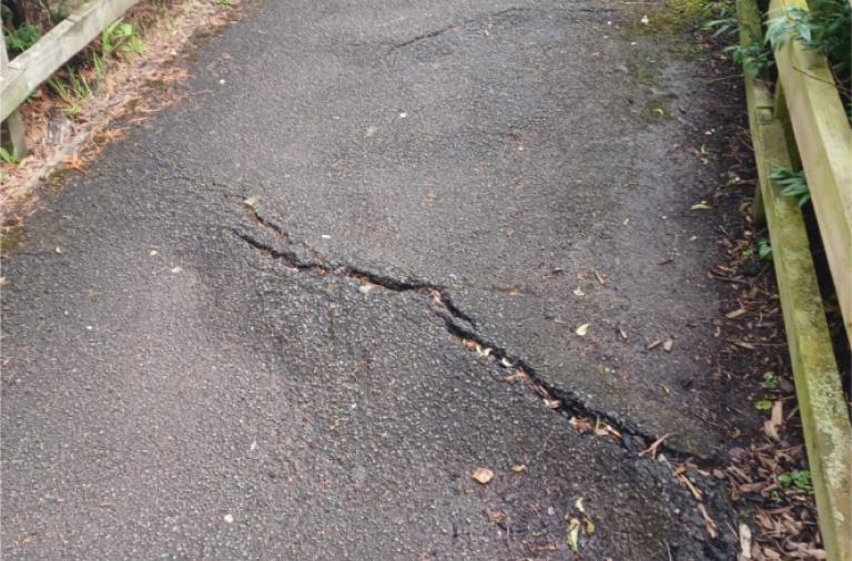 Example image of a root raised defect on a walkway