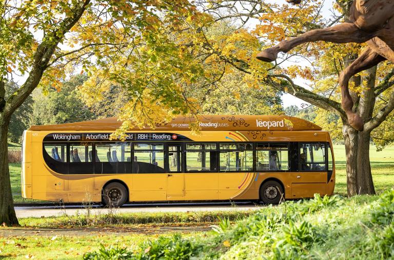 leopard bus travelling through the borough