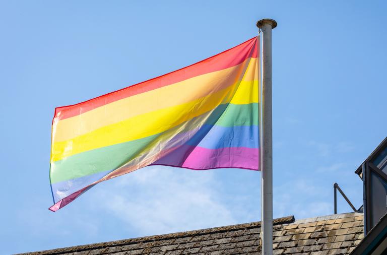 Wokingham Borough councillors raise the Pride rainbow flag at the council's Shute End offices