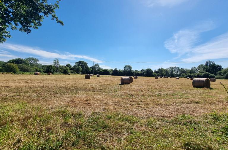 Hay Field from Foot bridge in Charvil Meadows