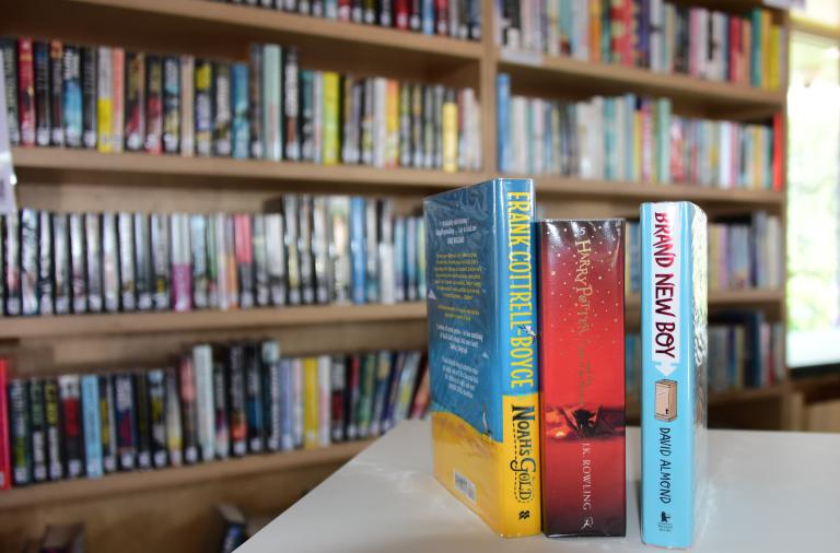 Books on shelves
