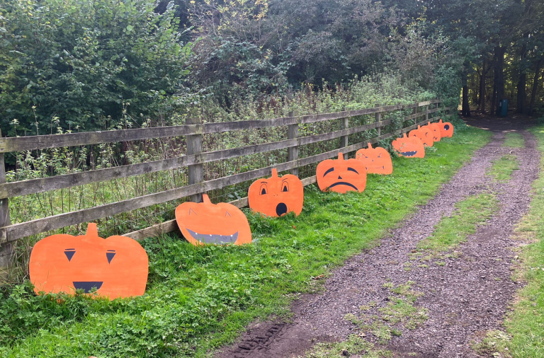 Halloween pumpkin trail