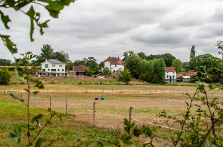 Existing Carters Hill and the mature landscaping around it