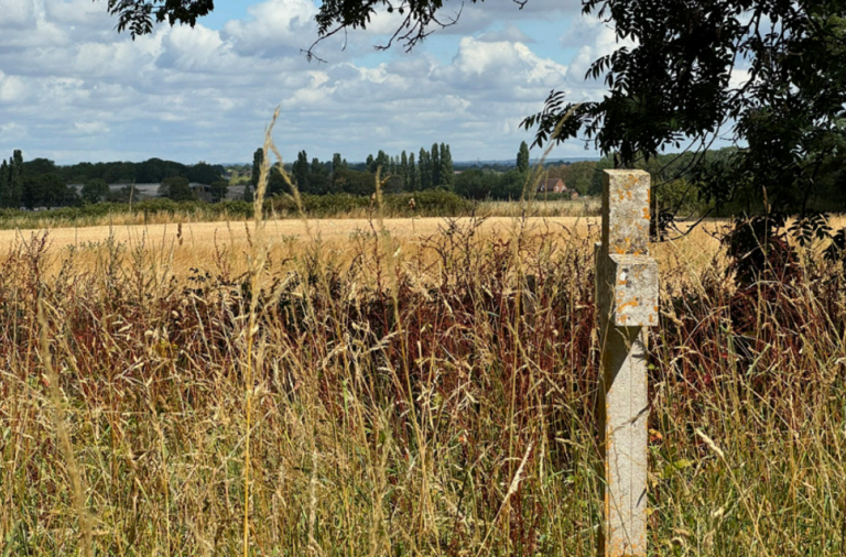 Views across the Loddon Valley 