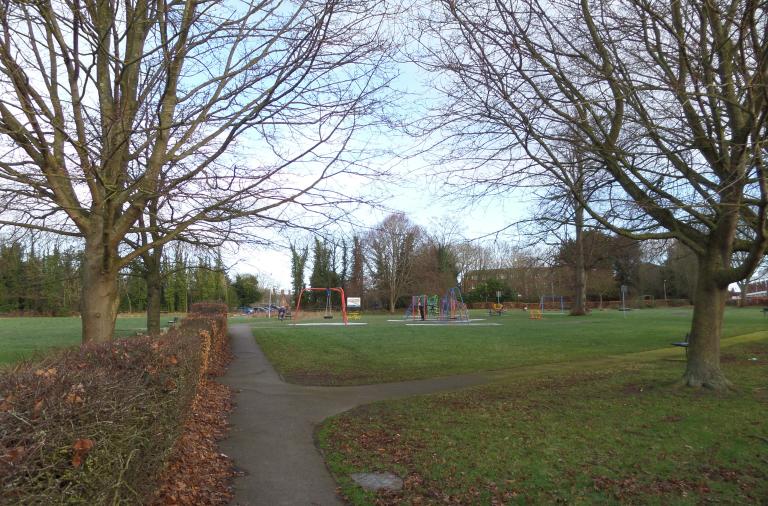 Elms Fields before photo