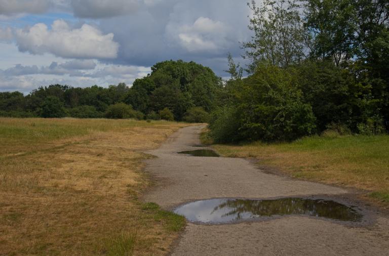 Existing footpath with several puddles running through open grassland towards woodland at Ashenbury Park.