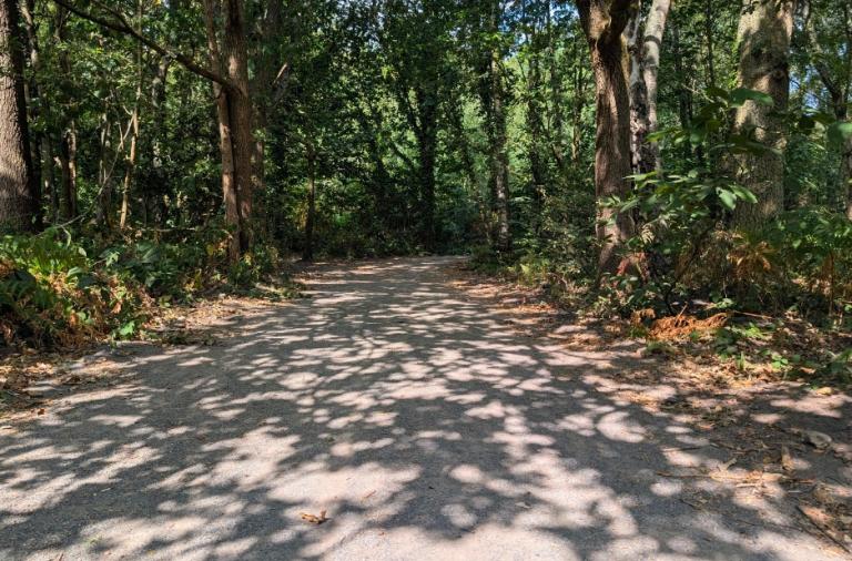 Wide accessible path leading towards the Covid Memorial Woodland.