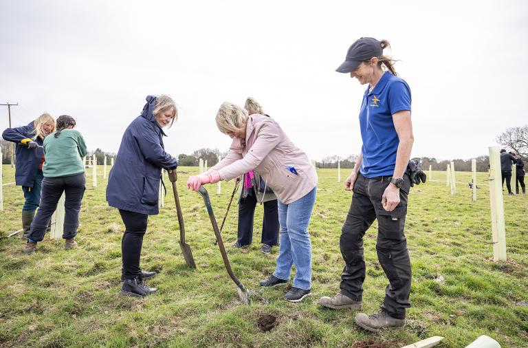 A Countryside Ranger helps participants plant young trees at the Covid Memorial Woodland