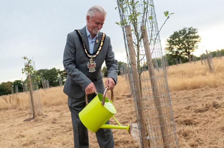 The Mayor waters a young orchard tree at the Covid Memorial Woodland opening event.
