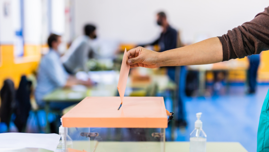 election voting general view