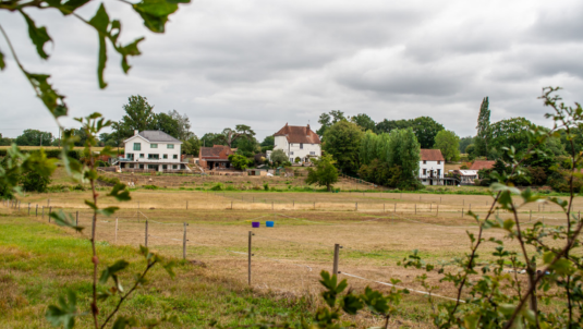 Existing Carters Hill and the mature landscaping around it