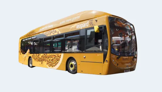 A yellow bus with a leopard in the side