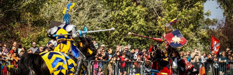 Medieval Jousting event